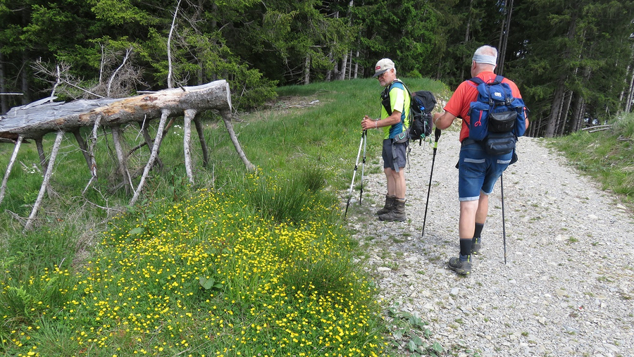 Im Aufstieg Im Aufstieg