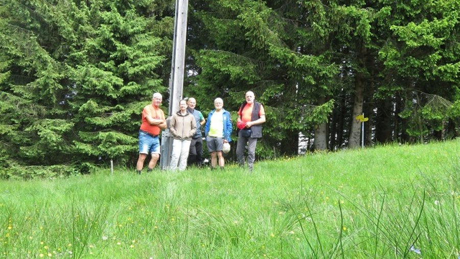 Gruppenbild mit Dame Gruppenbild mit Dame